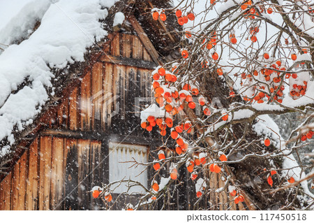 Snow-covered World Heritage Site in winter: Shirakawa-mura (Shirakawa-go), Gifu Prefecture 117450518