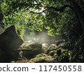 夏日陽光下的菊池溪谷 117450558