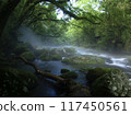 夏天的菊池谷，河霧繚繞 117450561