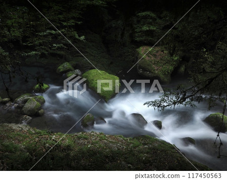 Summer Kikuchi Valley Summer Kikuchi Valley 117450563