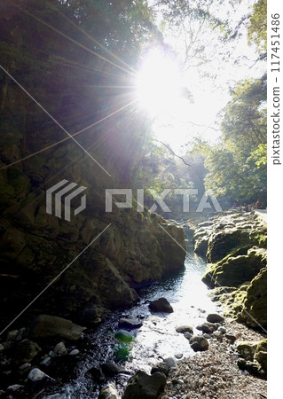 Mysterious scenery of sunlight shining on the Iwato River at Amayasukawara in Takachiho, Nishiusuki District, Miyazaki Prefecture 117451486