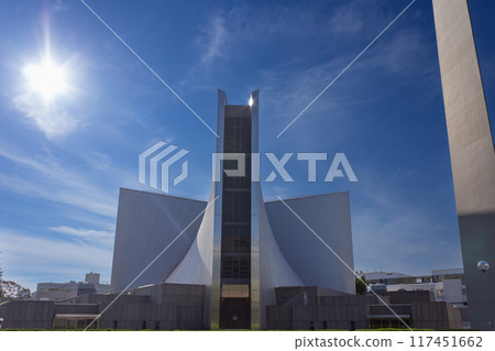 St. Mary's Cathedral 117451662