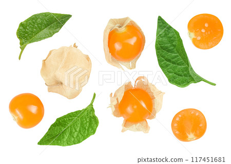 Cape gooseberry or physalis isolated on white background wit full depth of field. Top view. Flat lay 117451681