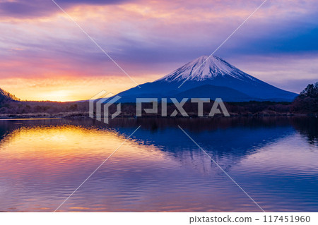 (Yamanashi Prefecture) Sunrise, morning glow, and Mt. Fuji as seen from Lake Shoji (Yamanashi Prefecture) Sunrise, morning glow, and Mt. Fuji as seen from Lake Shoji 117451960