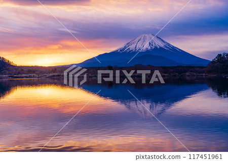 (Yamanashi Prefecture) Sunrise, morning glow, and Mt. Fuji as seen from Lake Shoji (Yamanashi Prefecture) Sunrise, morning glow, and Mt. Fuji as seen from Lake Shoji 117451961