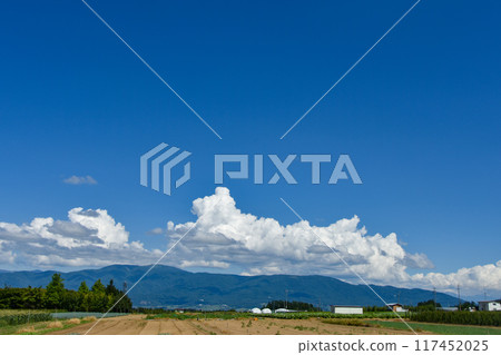 Rural scenery in Nagano Prefecture: Summer blue sky and white clouds Rural scenery in Nagano Prefecture: Summer blue sky and white clouds 117452025