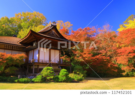 大城閣前的紅葉、大河內山莊(京都市右京區) 大城閣前的紅葉、大河內山莊(京都市右京區) 117452101