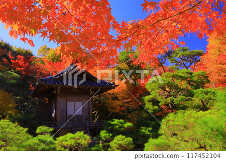 大河內山佛寺前的秋葉(京都市右京區) 大河內山佛寺前的秋葉(京都市右京區) 117452104