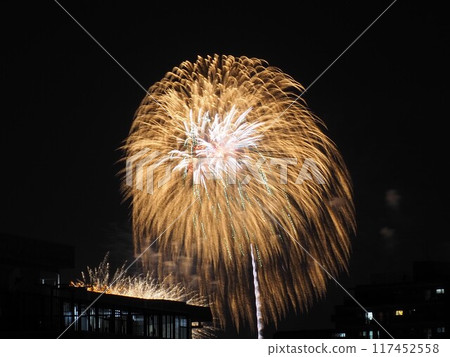 The Todabashi Fireworks Festival seen from the other side of the apartment building 117452558