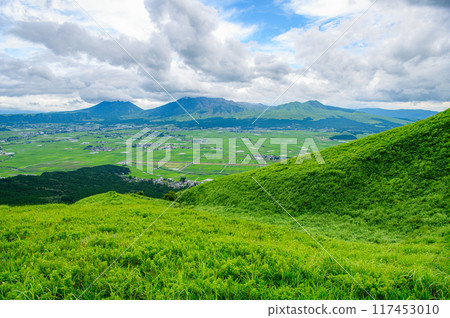 從阿蘇國立公園的大觀峰眺望全景 從阿蘇國立公園的大觀峰眺望全景 117453010