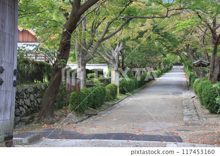 The approach to Saikyoji Temple in Otsu City, Shiga Prefecture The approach to Saikyoji Temple in Otsu City, Shiga Prefecture 117453160