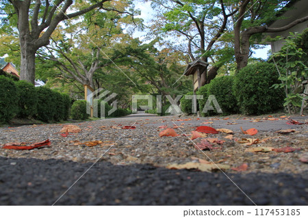 滋賀縣大津市的“西教寺參道” 117453185