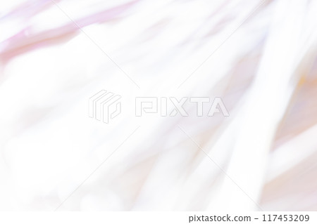 光影/灰色背景素材 117453209