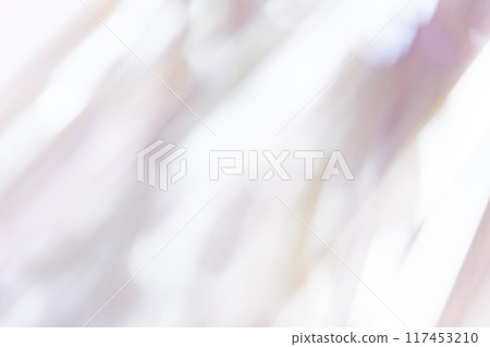 光影/灰色背景素材 117453210