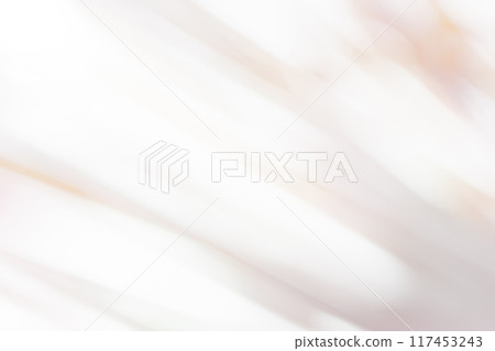 光影/灰色背景素材 117453243
