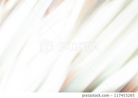 光影/灰色背景素材 117453265
