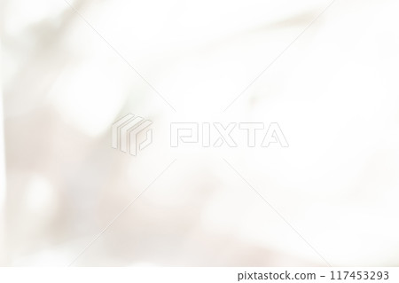 光影/灰色背景素材 117453293
