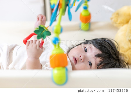 A baby's lifestyle 117453356