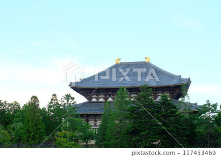 奈良東大寺的大佛 奈良東大寺的大佛 117453469