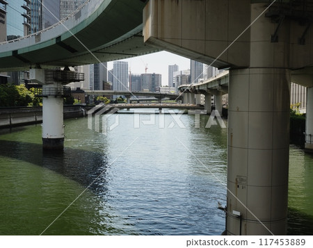 從中之島花園橋看到的渡邊橋 117453889