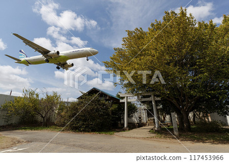 Higashimine Shrine and airplane Higashimine Shrine and airplane 117453966