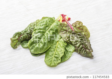 新鮮的瑞士甜菜、綠色和黃色蔬菜、新鮮收穫的甜菜、葉菜類、健康蔬菜 新鮮的瑞士甜菜、綠色和黃色蔬菜、新鮮收穫的甜菜、葉菜類、健康蔬菜 117454583