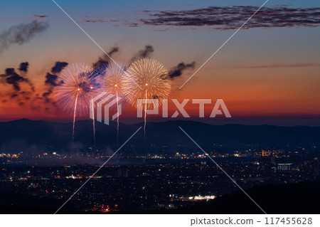 <Niigata Prefecture> Nagaoka Fireworks Festival - Aerial view 117455628