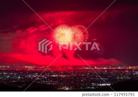 <Niigata Prefecture> Nagaoka Fireworks Festival - Aerial view 117455791