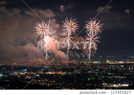 <Niigata Prefecture> Nagaoka Fireworks Festival - Aerial view 117455827