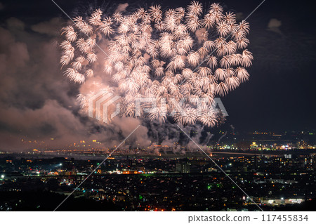 <Niigata Prefecture> Nagaoka Fireworks Festival - Aerial view 117455834