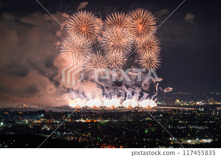 <Niigata Prefecture> Nagaoka Fireworks Festival - Aerial view 117455835