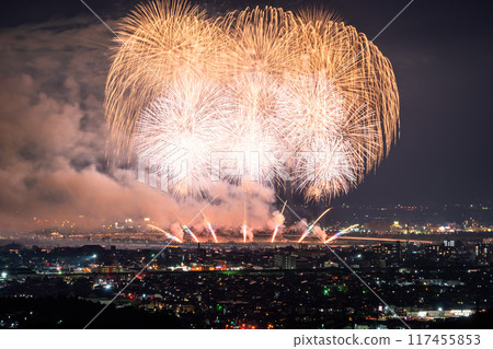 [新潟縣] 長岡花火大會，鳥瞰攝影 117455853
