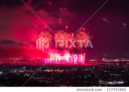 <Niigata Prefecture> Nagaoka Fireworks Festival - Aerial view 117455868