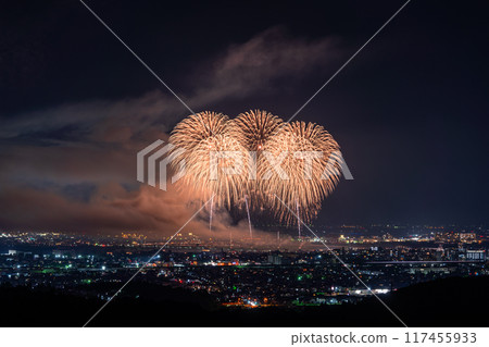 [新潟縣] 長岡花火大會，鳥瞰攝影 117455933