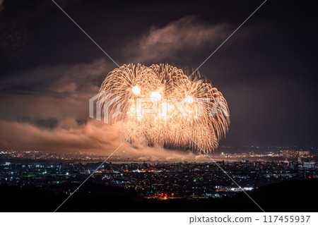 <Niigata Prefecture> Nagaoka Fireworks Festival - Aerial view 117455937