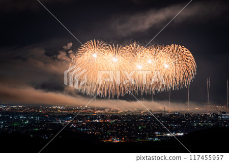 [新潟縣] 長岡花火大會，鳥瞰攝影 117455957