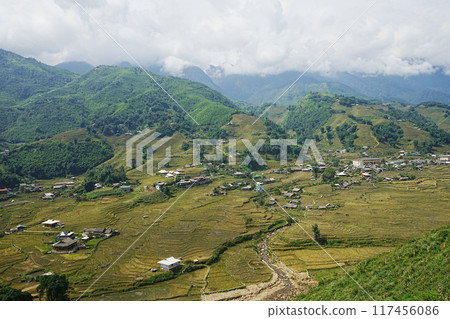 Vietnam Sapa rice terraces 117456086