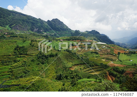Vietnam Sapa rice terraces 117456087