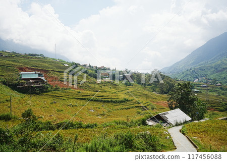 Vietnam Sapa rice terraces 117456088
