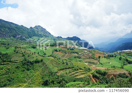 Vietnam Sapa rice terraces 117456090