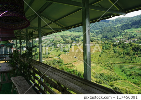 Vietnam Sapa rice terraces 117456091