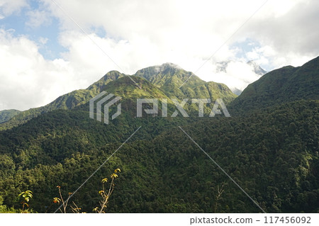 vietnam sapa mountain road 117456092