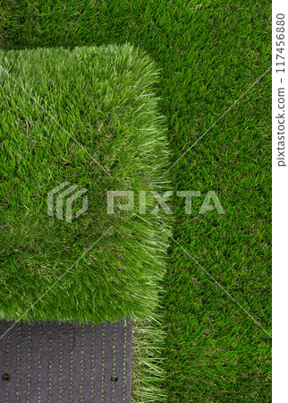 Artificial Grass Varieties Comparison and Installation Artificial Grass Varieties Comparison and Installation 117456880