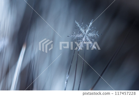snapshot of a small snowflake taken during a snowfall 117457228