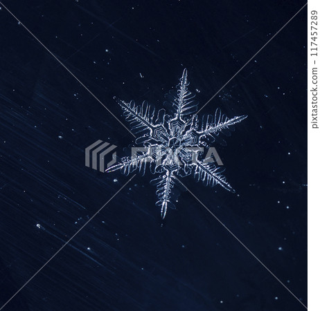 snapshot of a small snowflake taken during a snowfall 117457289