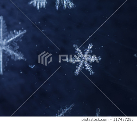 snapshot of a small snowflake taken during a snowfall 117457293