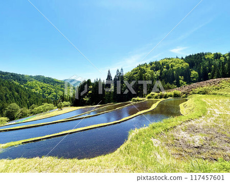 水稻梯田與藍天的風景 117457601