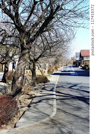 A key transportation and economic hub... Kozuke Province, Shirai-juku, the castle town of Shirai Castle A key transportation and economic hub... Kozuke Province, Shirai-juku, the castle town of Shirai Castle 117458372