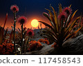 Vibrant desert landscape with unusual flora and setting sun at dusk 117458543