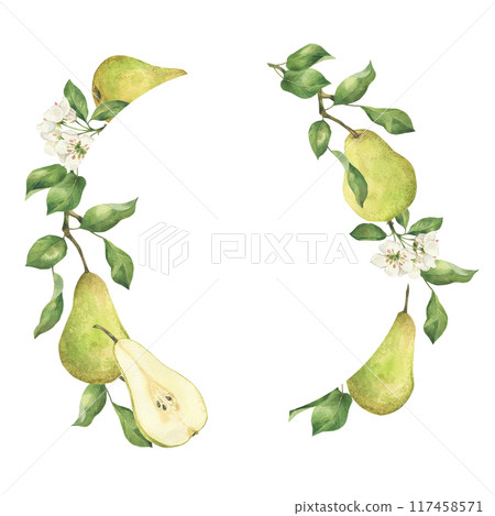 Green pear with flower and leaves watercolor wreath illustration isolated on white. Hand drawn blooming fruit tree and slice label template with copy space for text 117458571